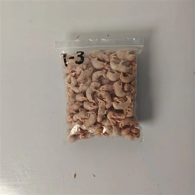 Замороженные Пинки Крысы